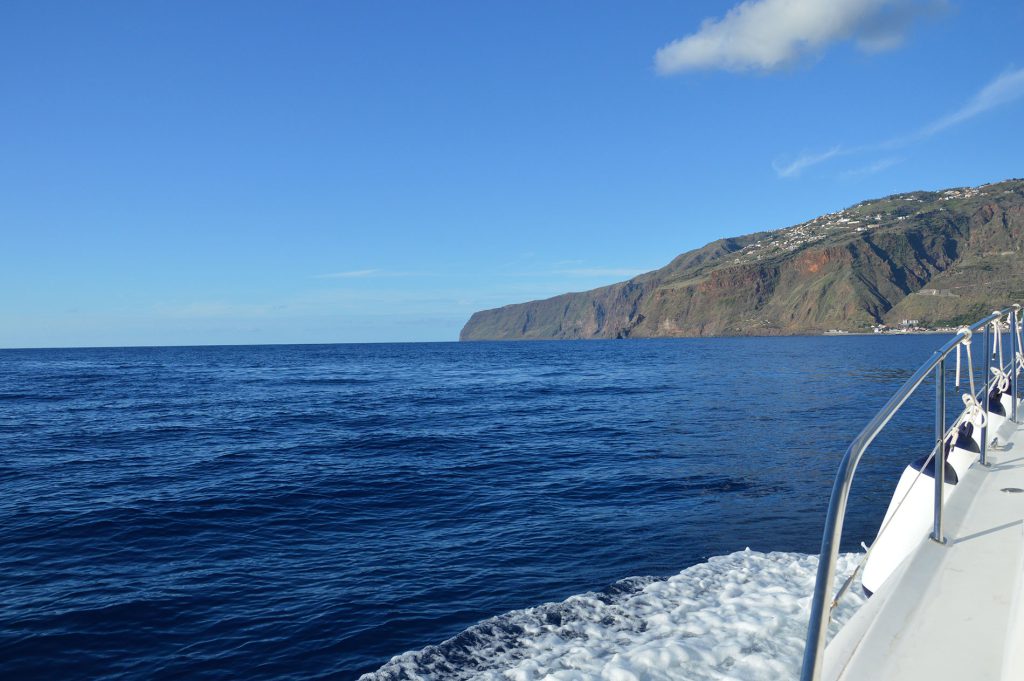 Ocean View Madeira Island On Tales