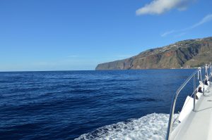 Ocean View Madeira Island On Tales