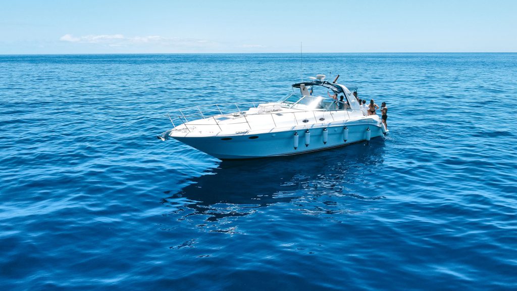 Yacht Whale Watching Tour On Tales