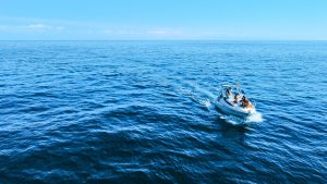 Dolphin Whales Yacht Tour On Tales