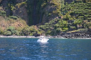 Madeira Island Views On Tales