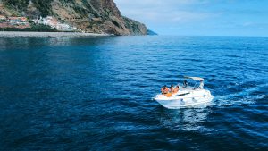Relaxing Group Tour Madeira Island Yacht boat whale and dolphin watching