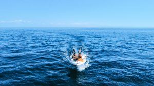 Miranda whale Yacht Tour Madeira On Tales