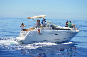 Miranda Yacht Tour Madeira On Tales