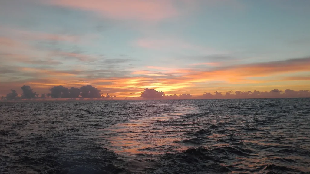 On Tales Boat Yacht Whales and Dolphins Por do Sol Calheta Madeira