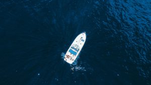 Whale Watching Tour On Tales