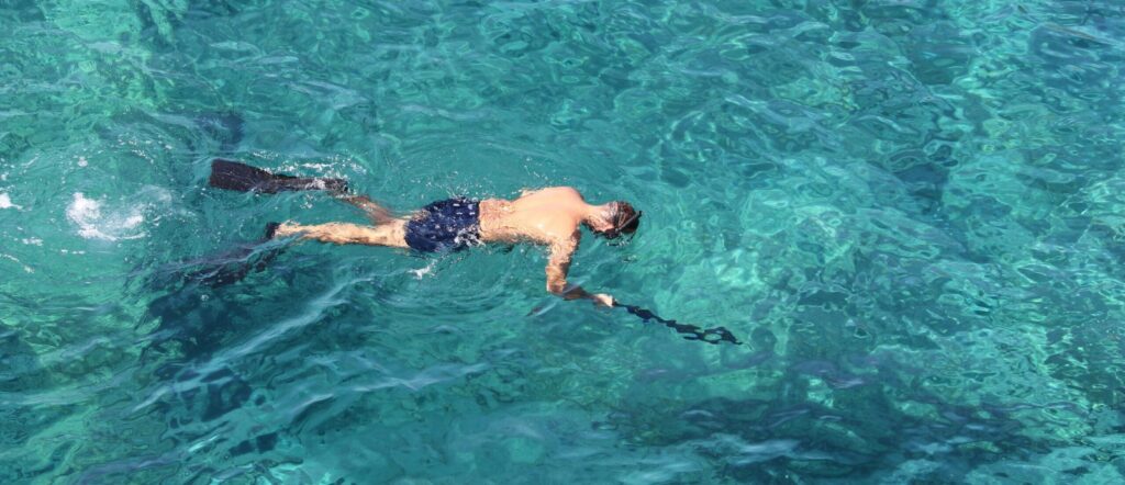 snorkeling Madeira dolphin tours