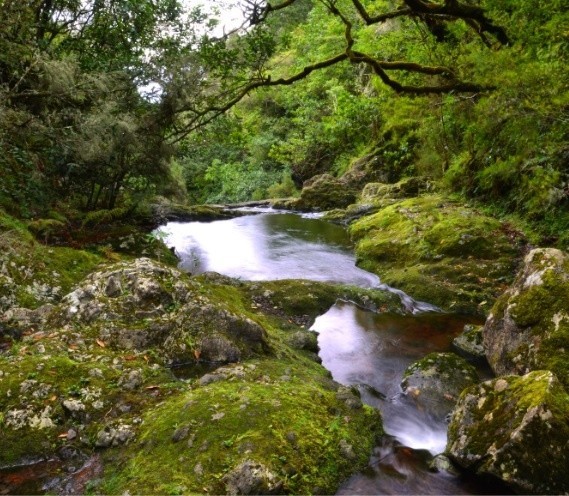 Madeira on-land