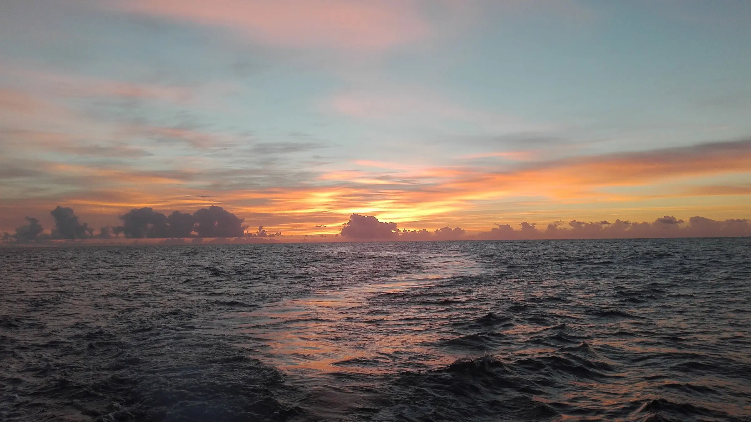 On Tales Boat Yacht Whales and Dolphins Por do Sol Calheta Madeira
