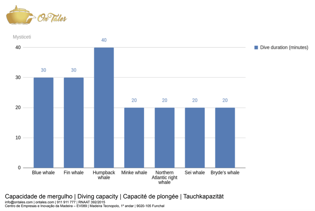 diving capacity mysticeti